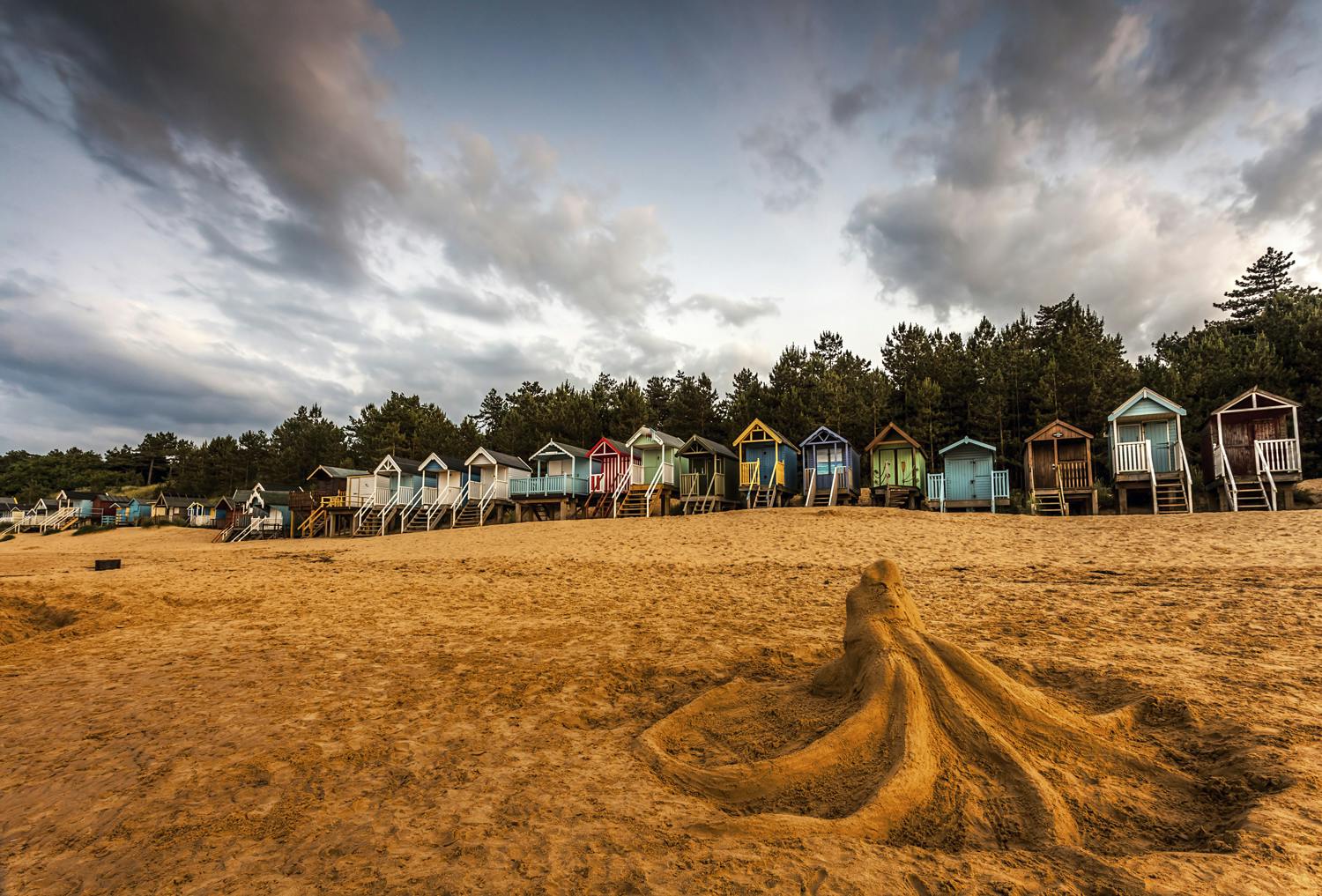 Det ska du fotografera i sommar